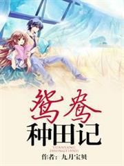 无敌皇太子视频全集完整版