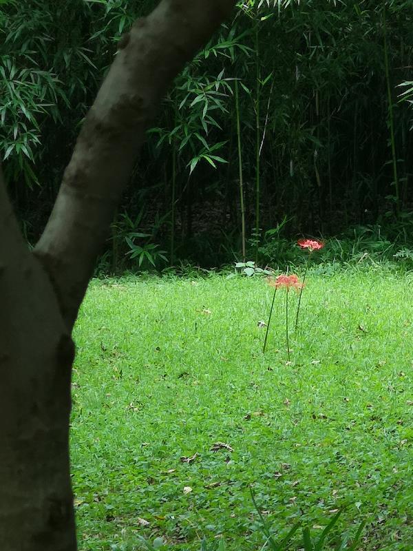 算了李莲花长命百岁是哪一集