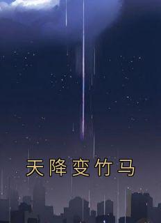 风雪夜兼程第几章分手