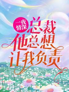 一夜情深：总裁他总想让我负责