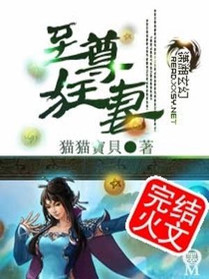 至尊狂妻1